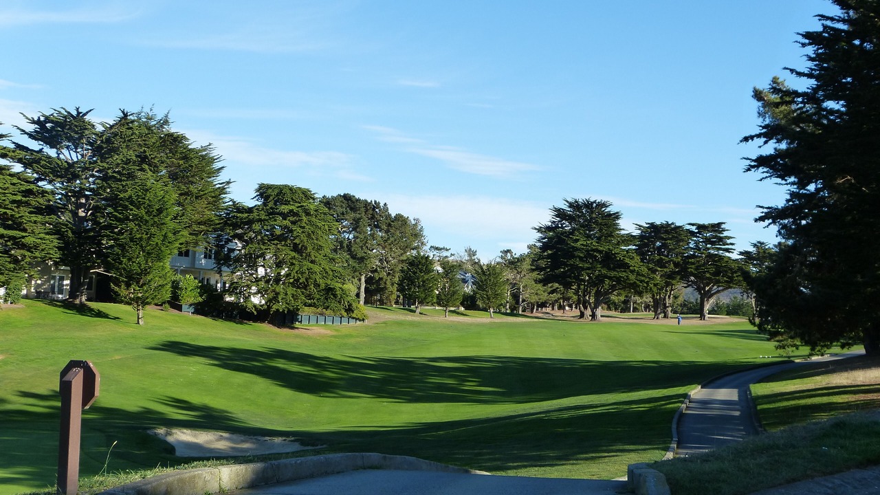 Photo of Others in Half Moon Bay