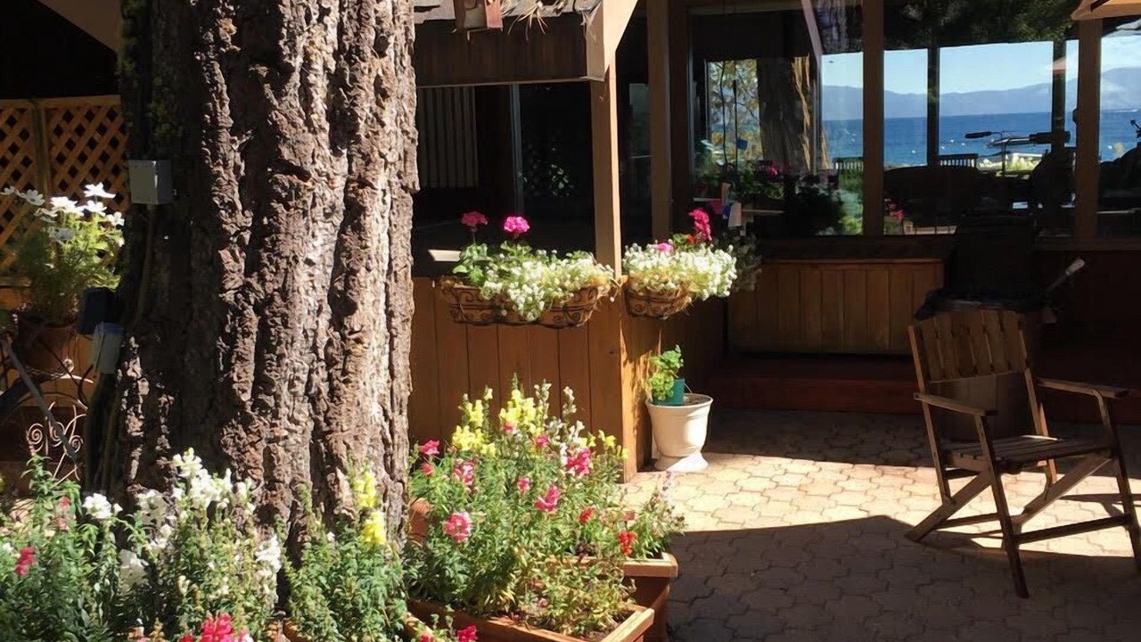 Photo of Outdoor in Tahoe Pines