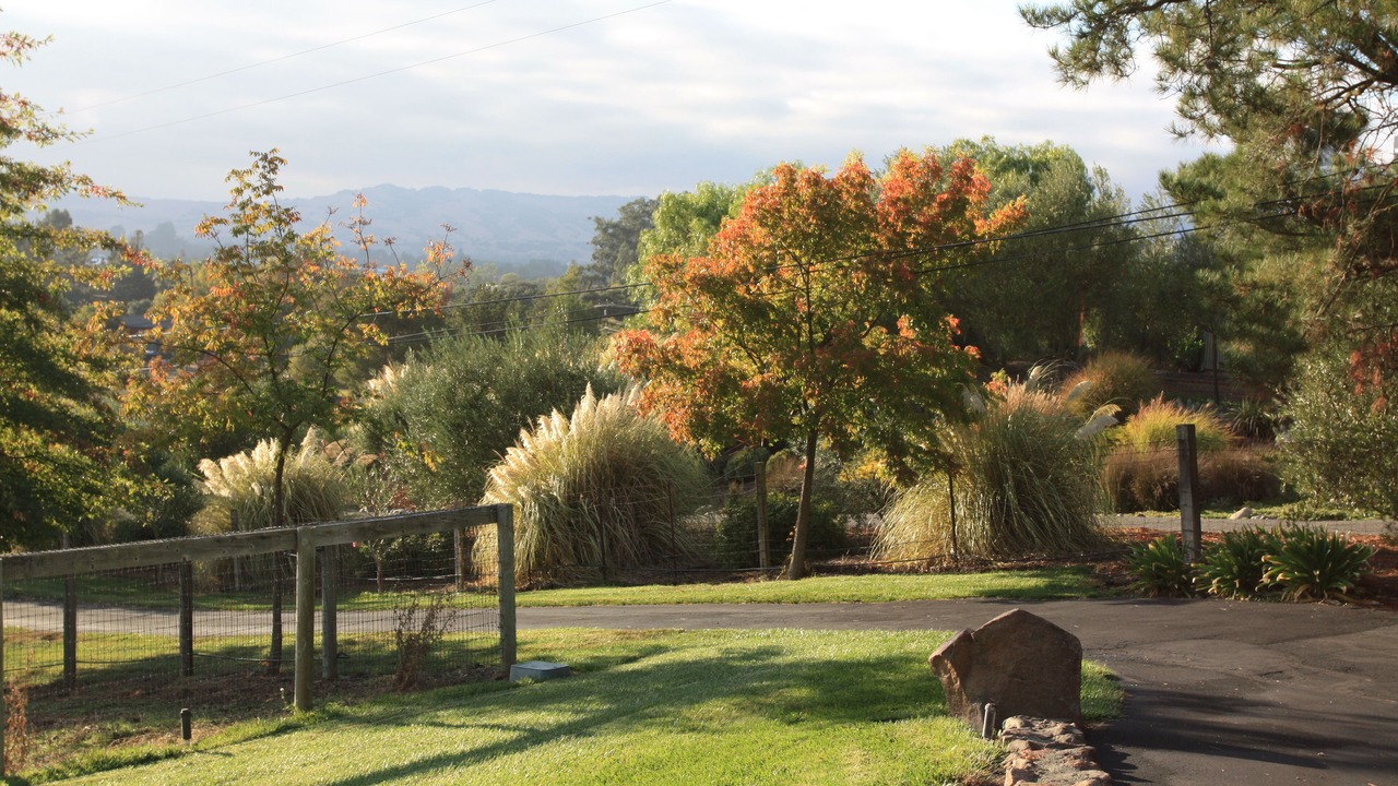 Photo of Outdoor in Sonoma