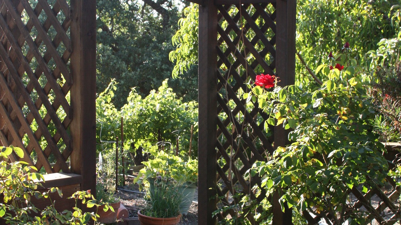 Photo of Outdoor in Sonoma