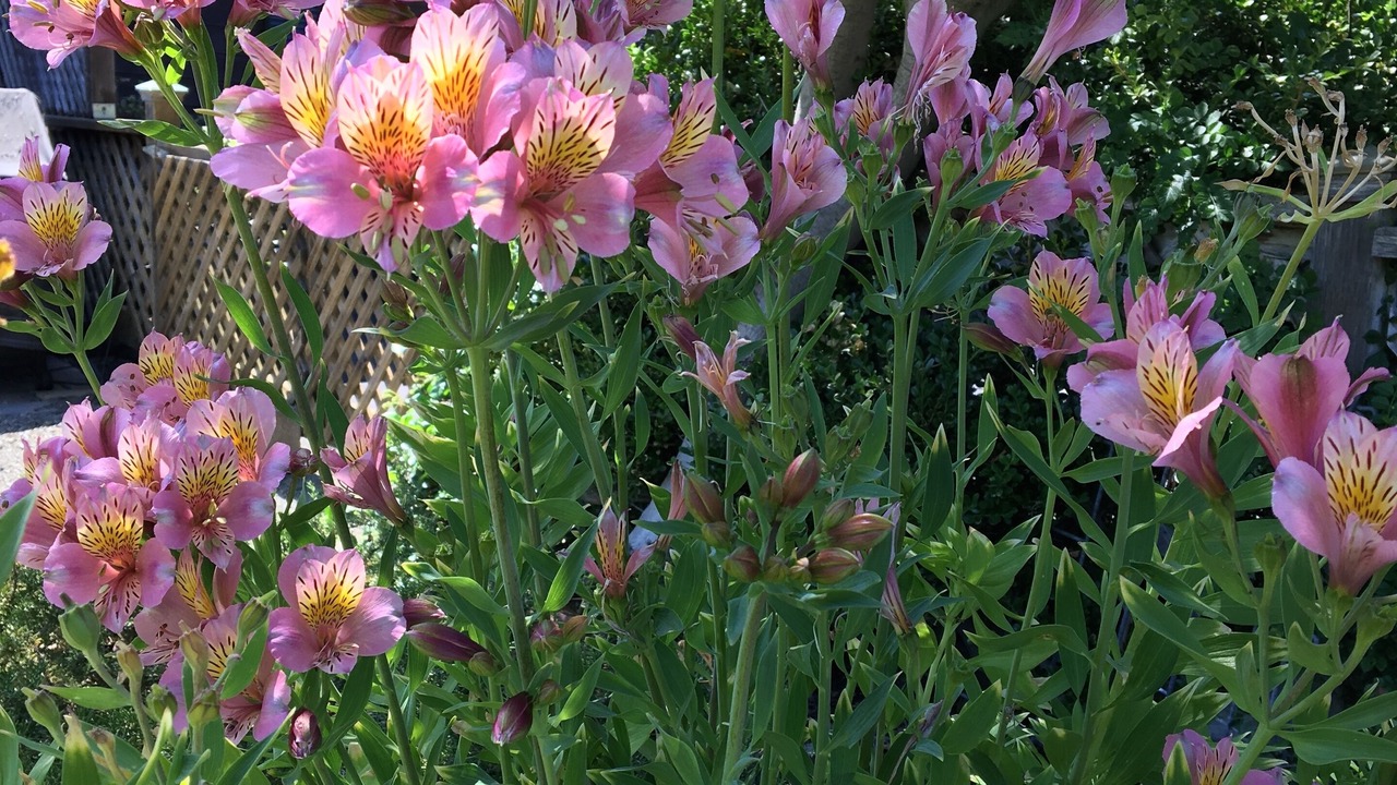 Photo of Outdoor in Sonoma