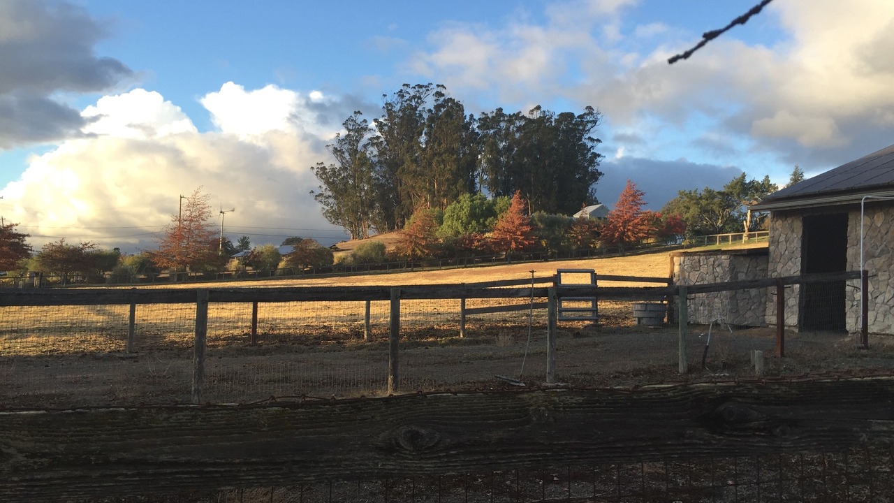 Photo of Outdoor in Sonoma
