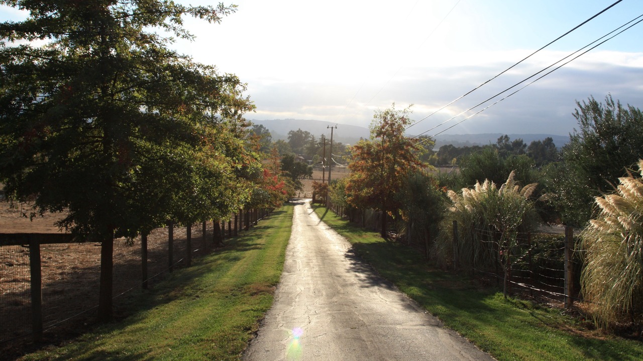 Photo of Outdoor in Sonoma