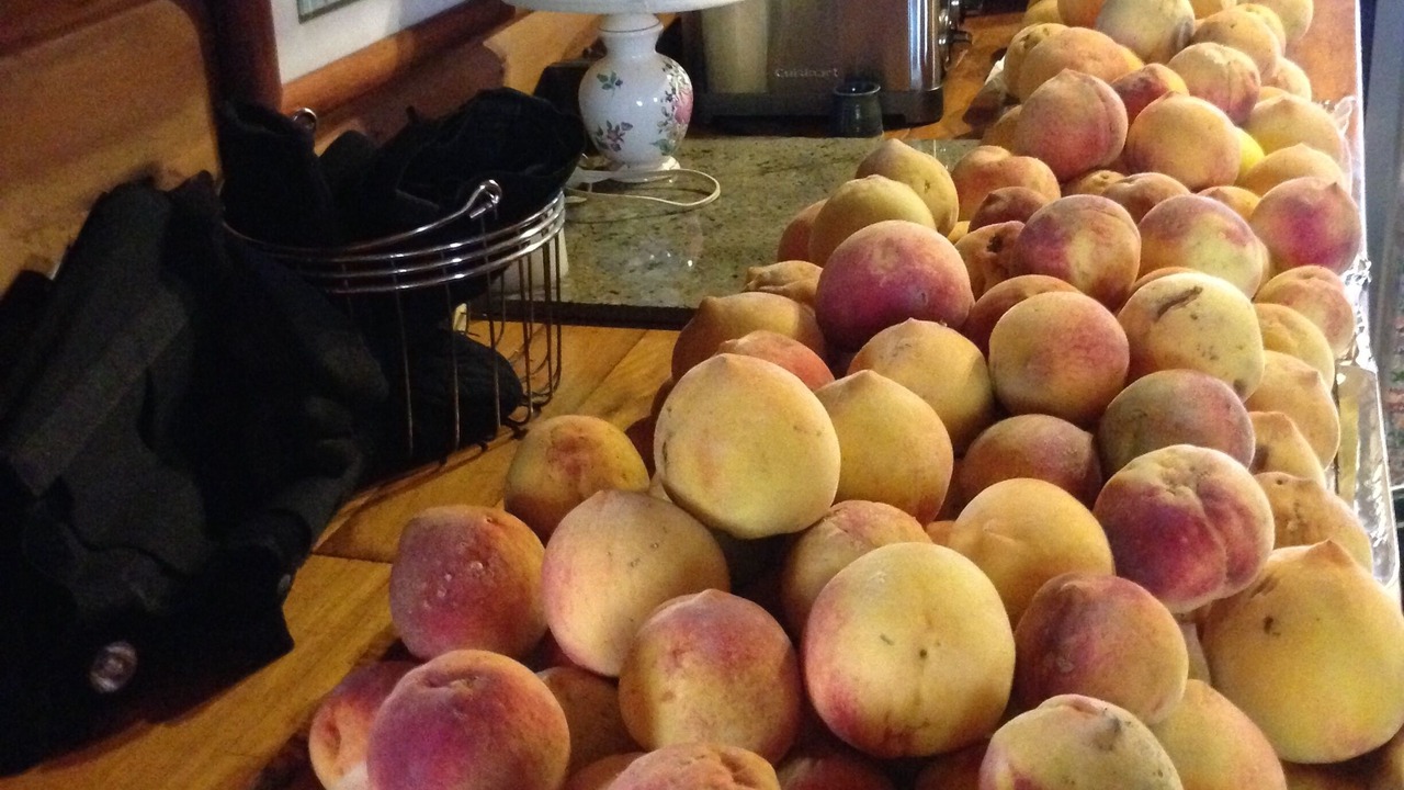 Photo of Kitchen in Sonoma
