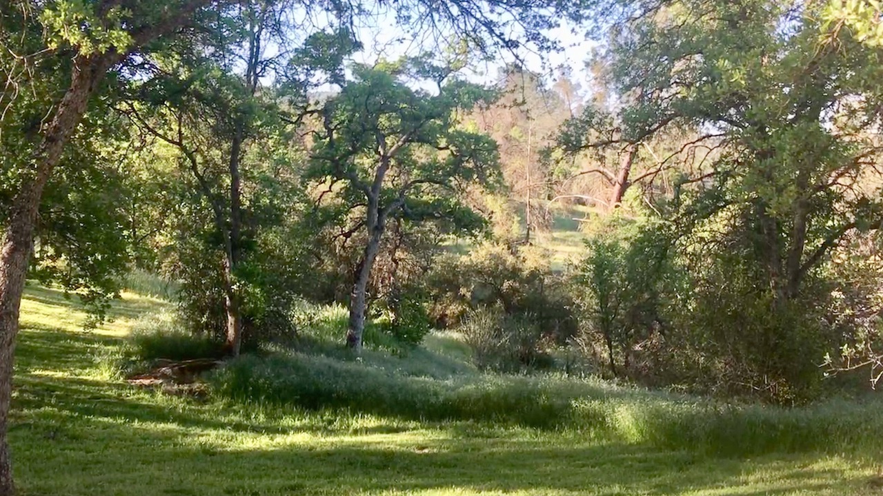 Photo of Outdoor in Yosemite Lakes
