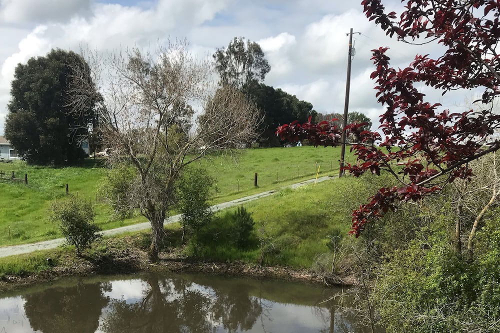 Photo of Others in Valley Springs