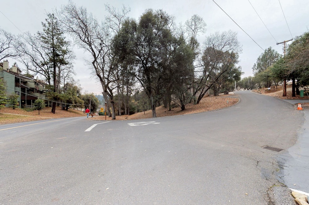 Photo of Others in Groveland
