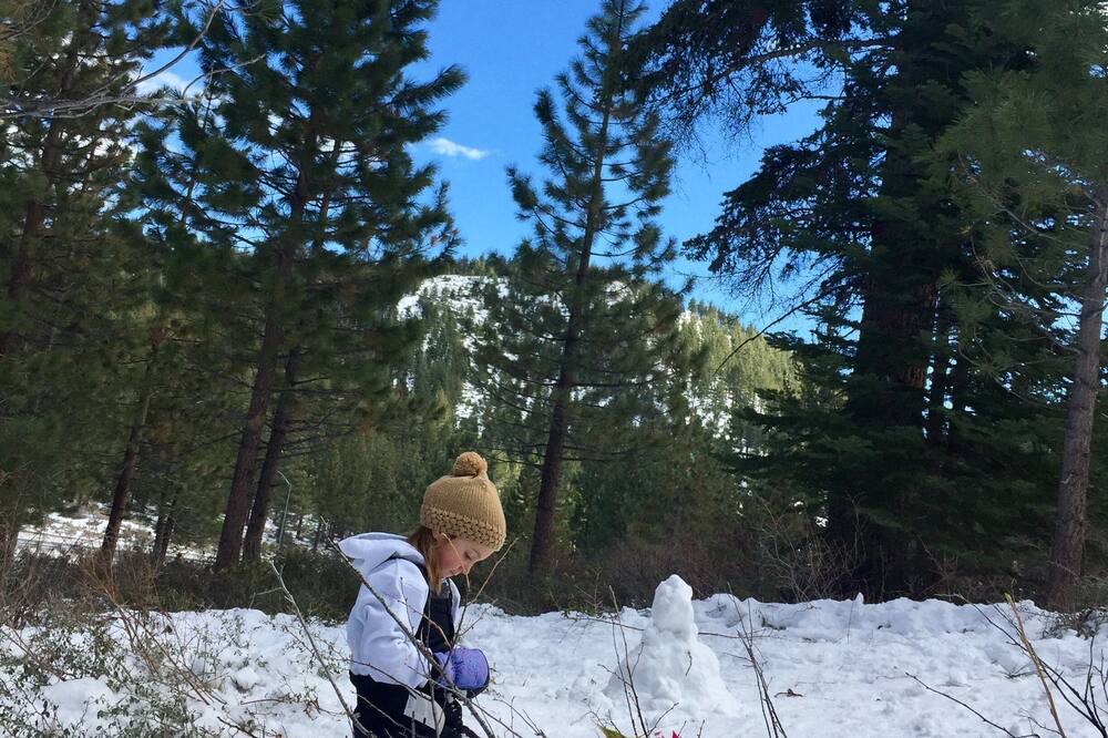 Photo of Others in Carson City
