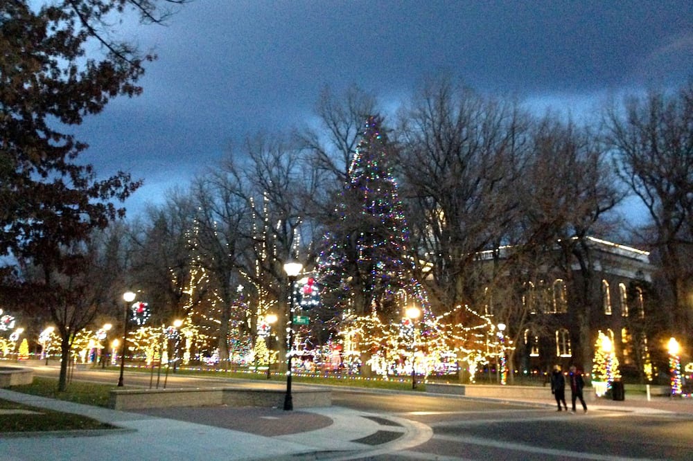 Photo of Others in Carson City
