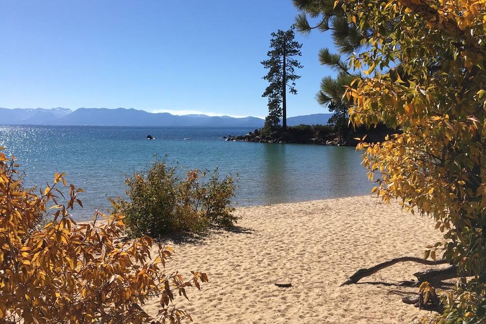 Photo of Others in Carson City
