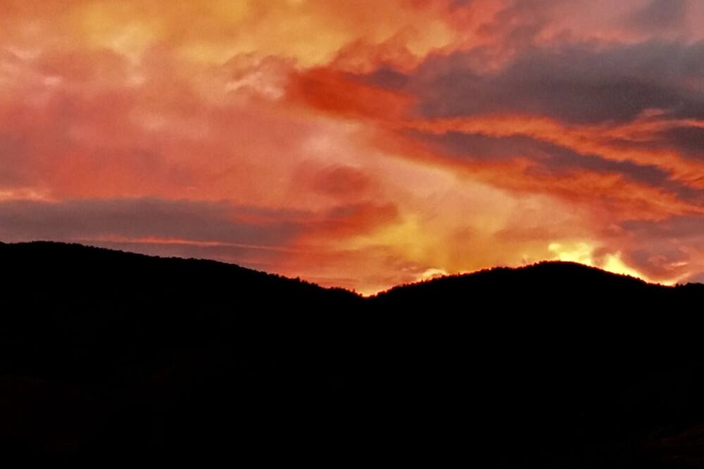 Photo of Others in Carson City