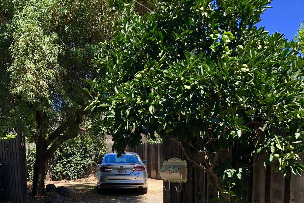 Photo of Outdoor in Folsom