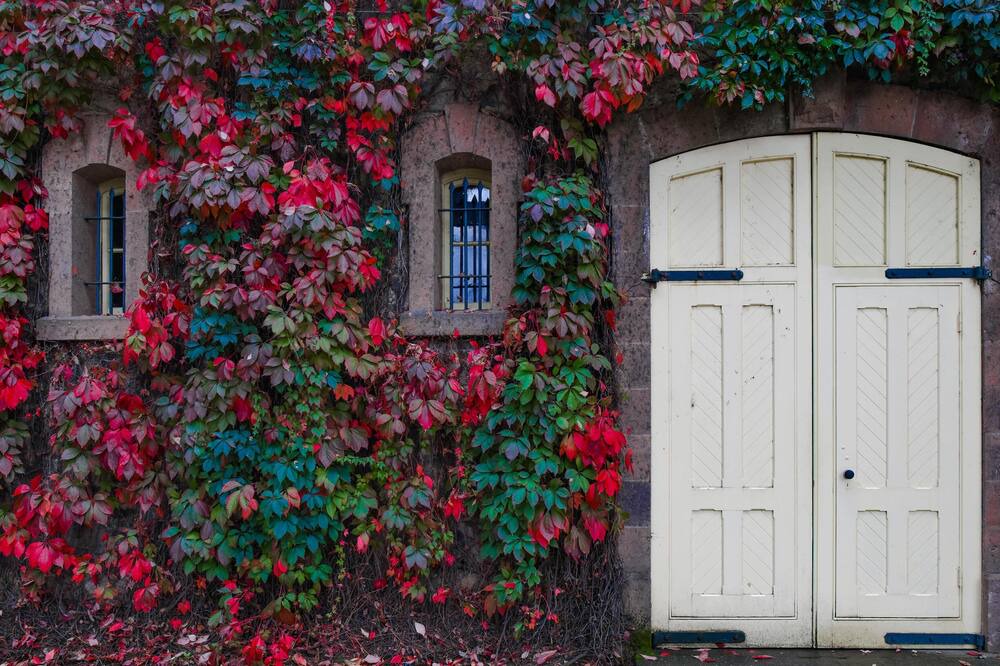 Photo of Outdoor in St. Helena