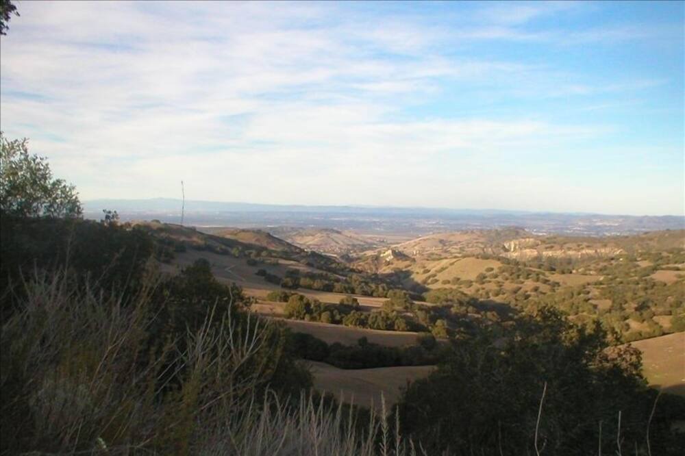 Photo of Others in Salinas