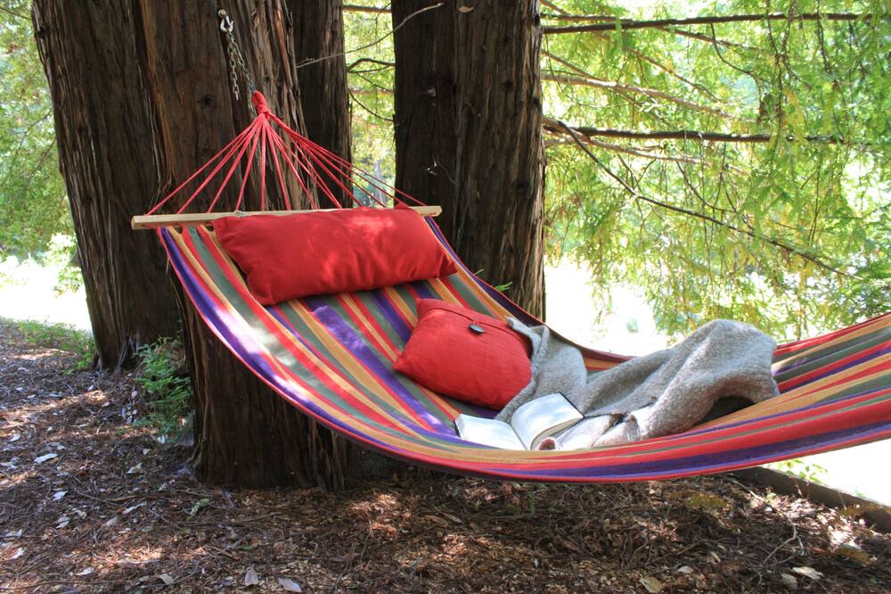 Photo of Others in San Mateo County