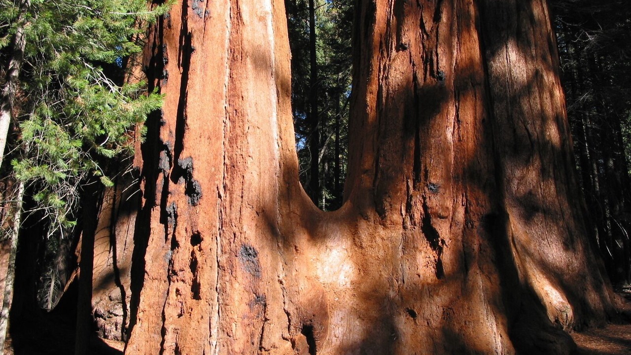 Photo of Outdoor in California Hot Springs