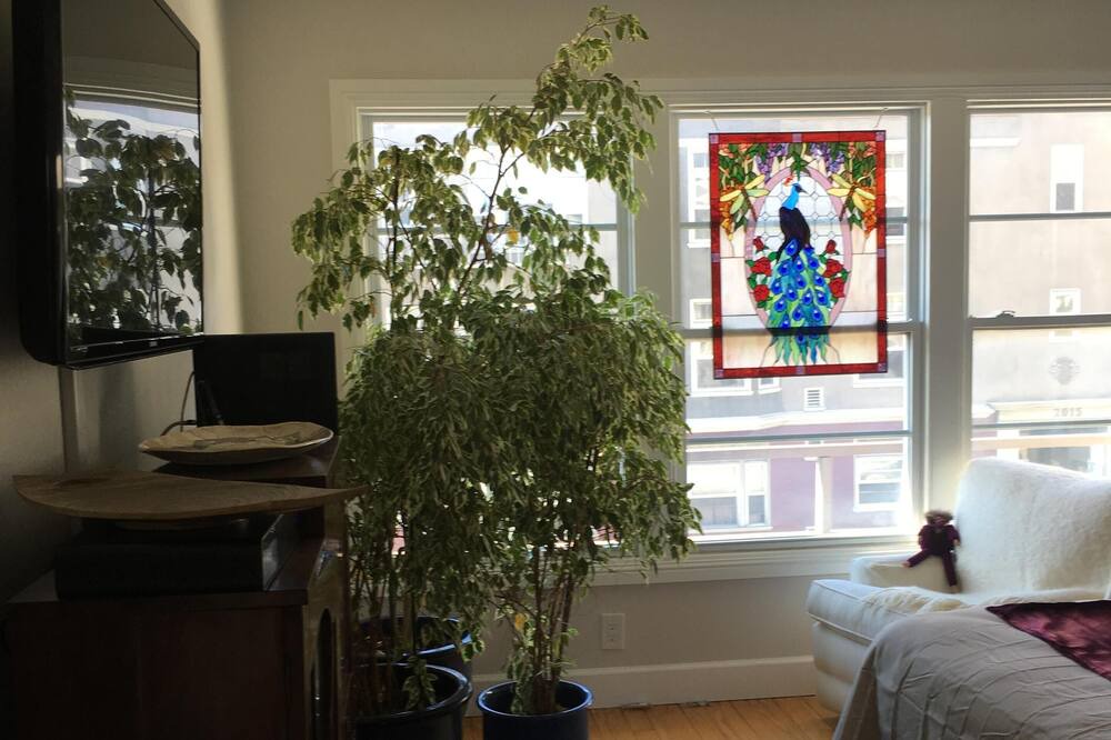 Photo of Others in Pacific Heights
