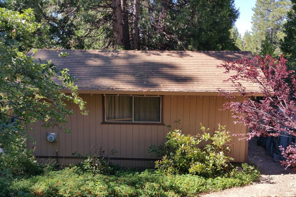 Photo of Outdoor in Cold Springs