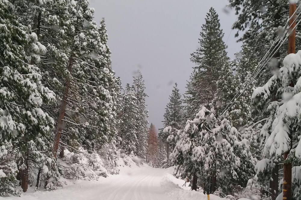 Photo of Others in Cold Springs