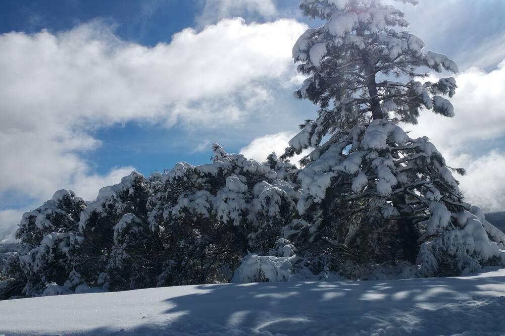 Photo of Others in Cold Springs