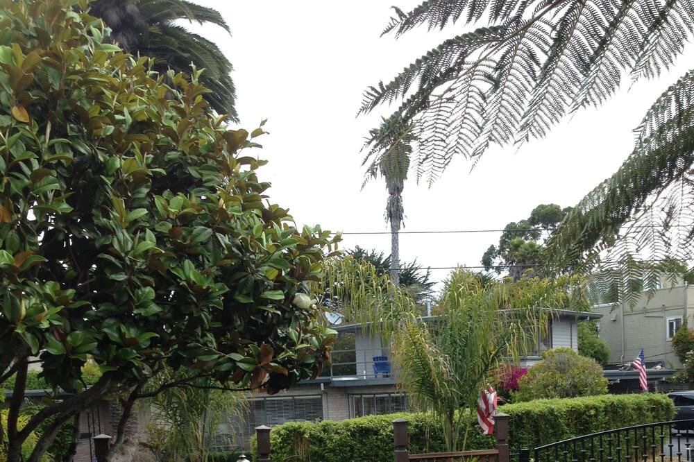 Photo of Others in Aptos