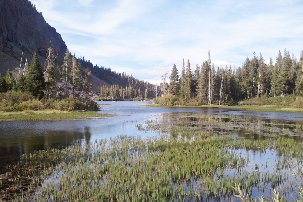 Photo of Others in Mammoth Lakes