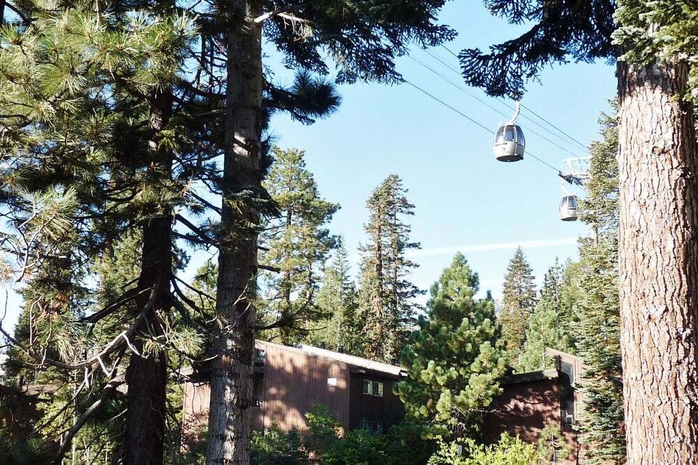 Photo of Others in Mammoth Lakes