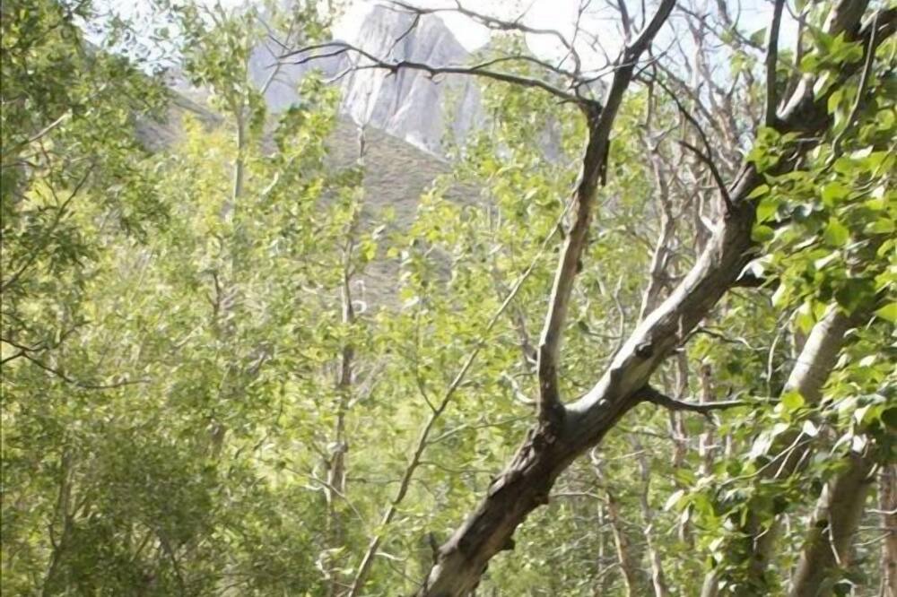 Photo of Outdoor in Mammoth Lakes