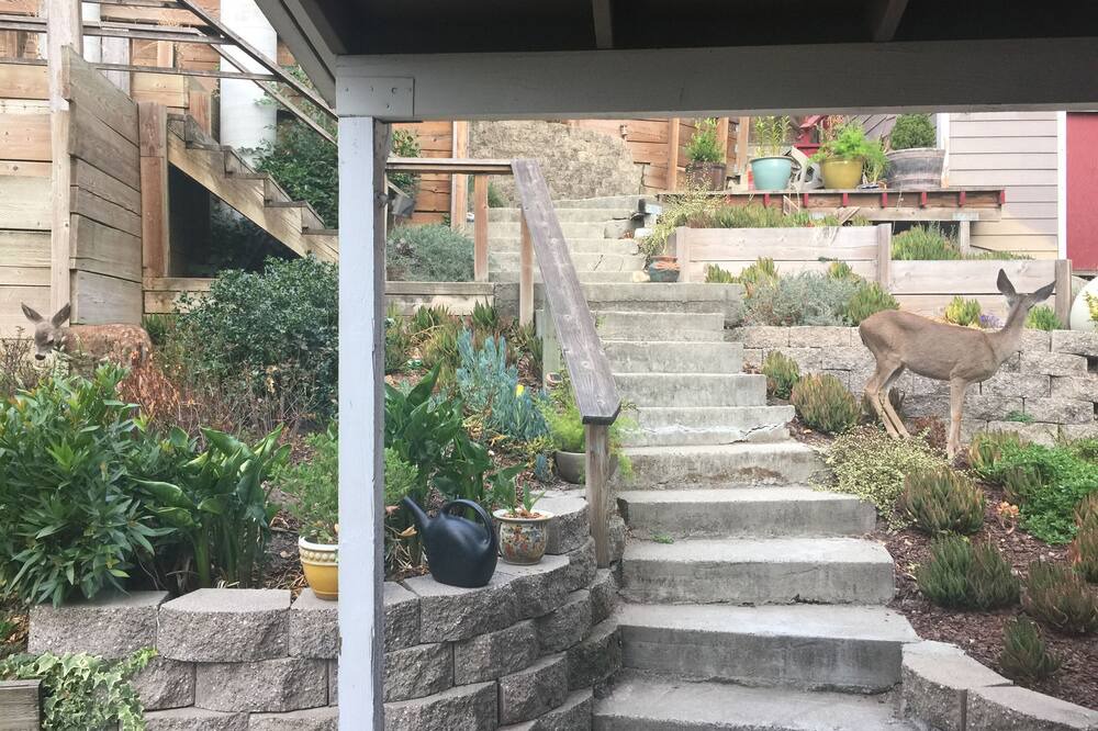 Photo of Outdoor in Holy City