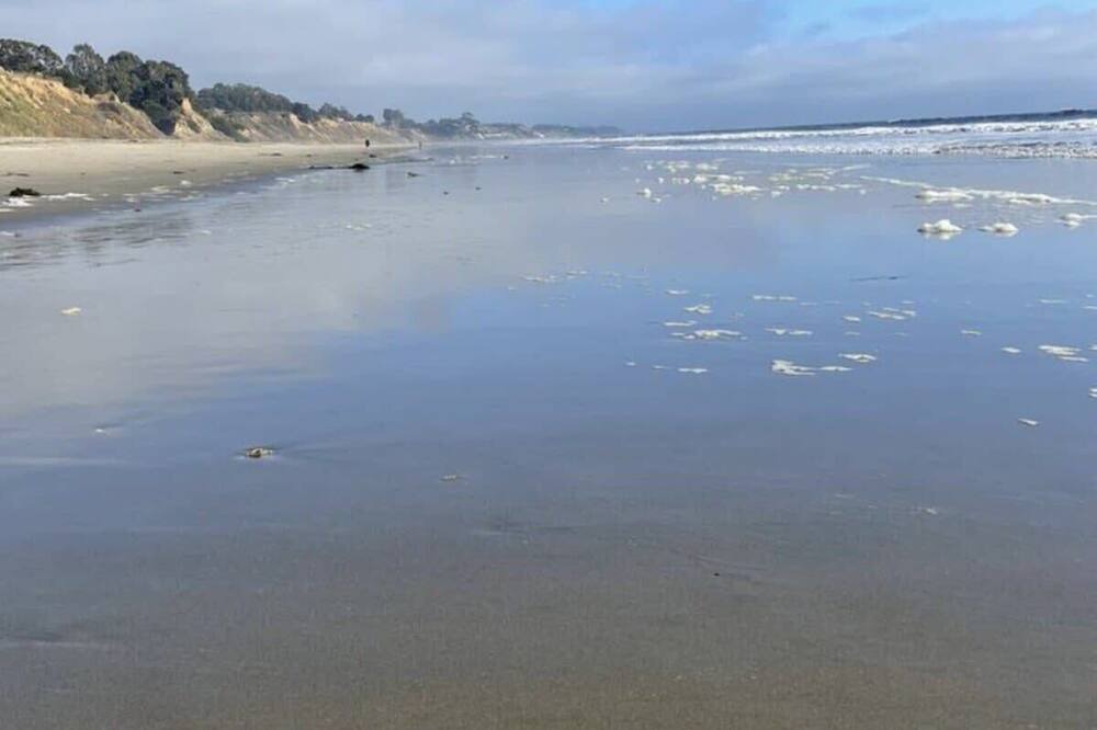 Photo of Others in Rio del Mar