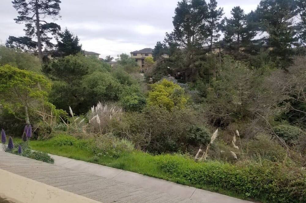 Photo of Others in Rio del Mar