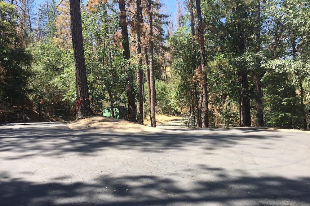 Photo of Others in Bass Lake