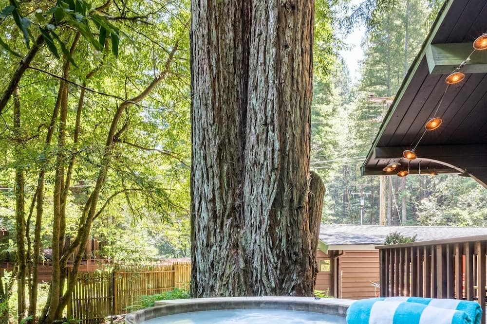 Photo of Outdoor in Cazadero