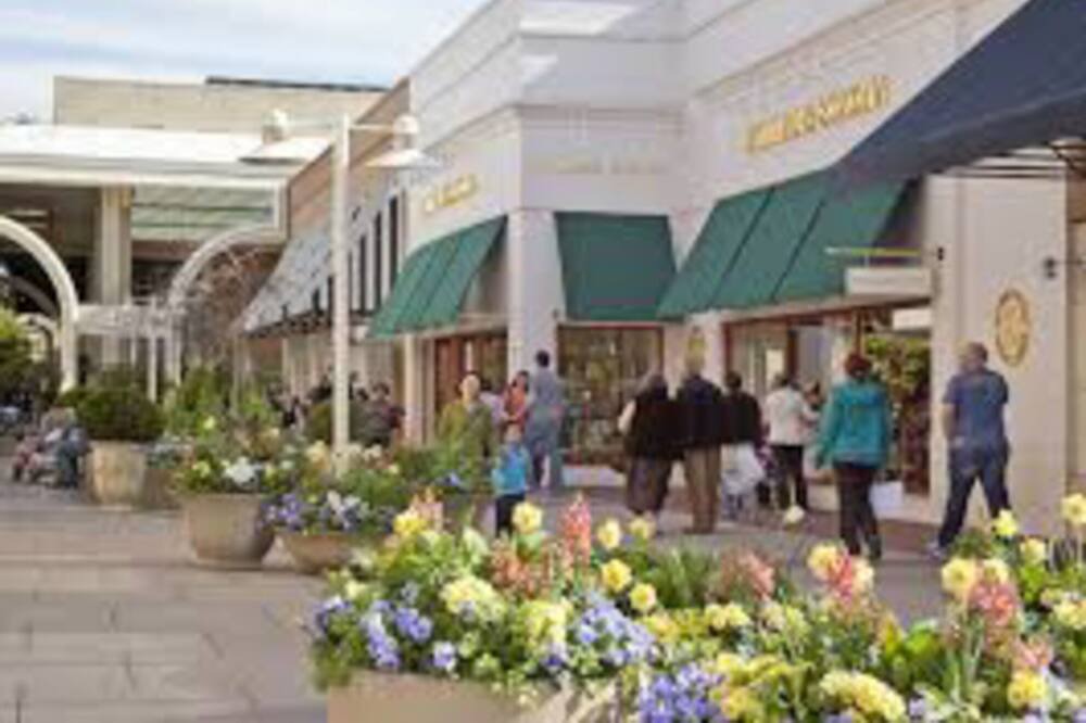 Photo of Others in Ladera