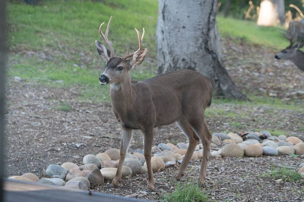 Photo of Others in Ladera