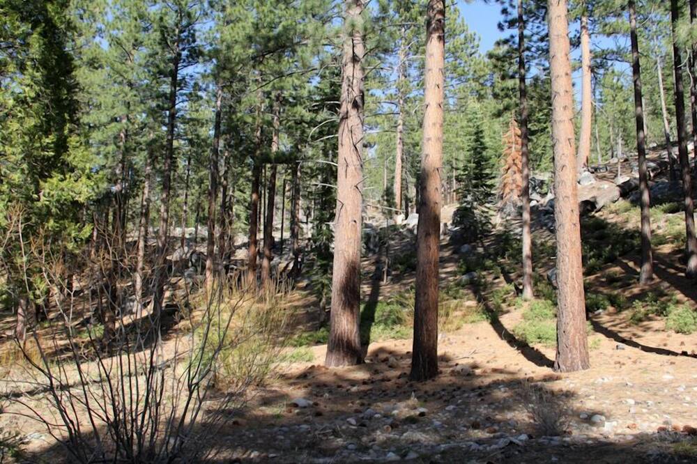 Photo of Outdoor in Tahoe Tyrol