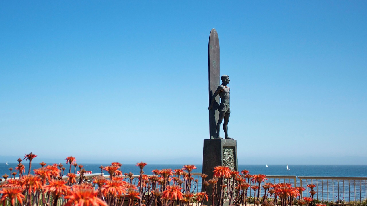 Photo of Others in Westside Santa Cruz