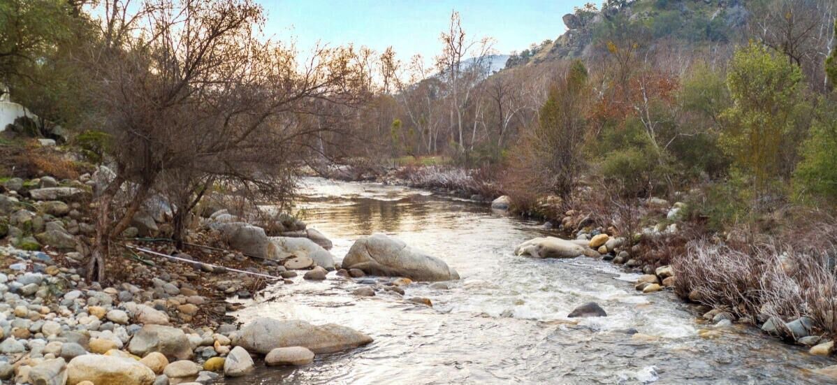 Photo of Outdoor in Three Rivers