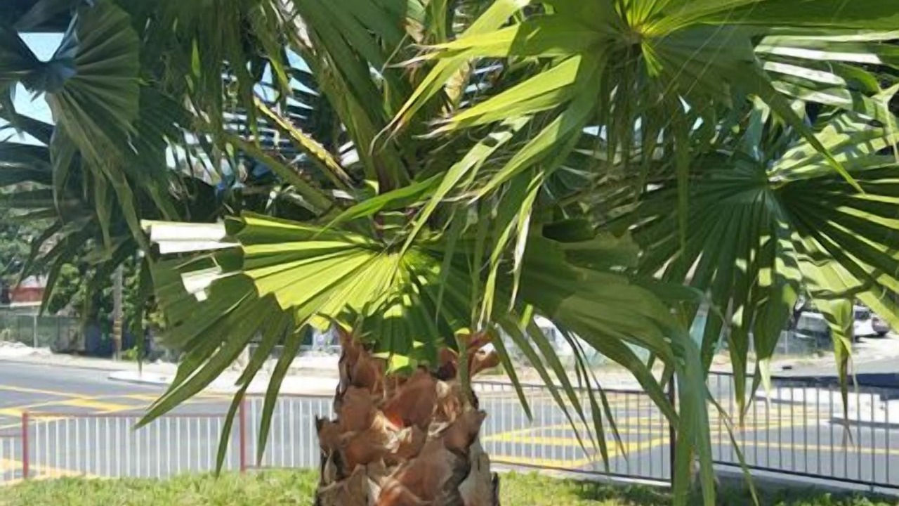 Photo of Outdoor in Vallejo