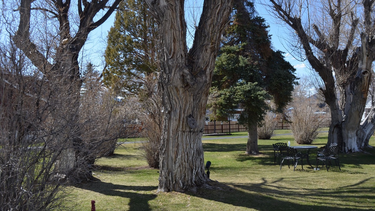 Photo of Outdoor in Bridgeport