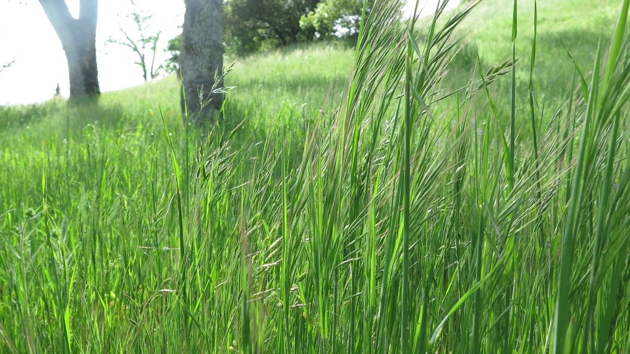 Photo of Outdoor in Badger