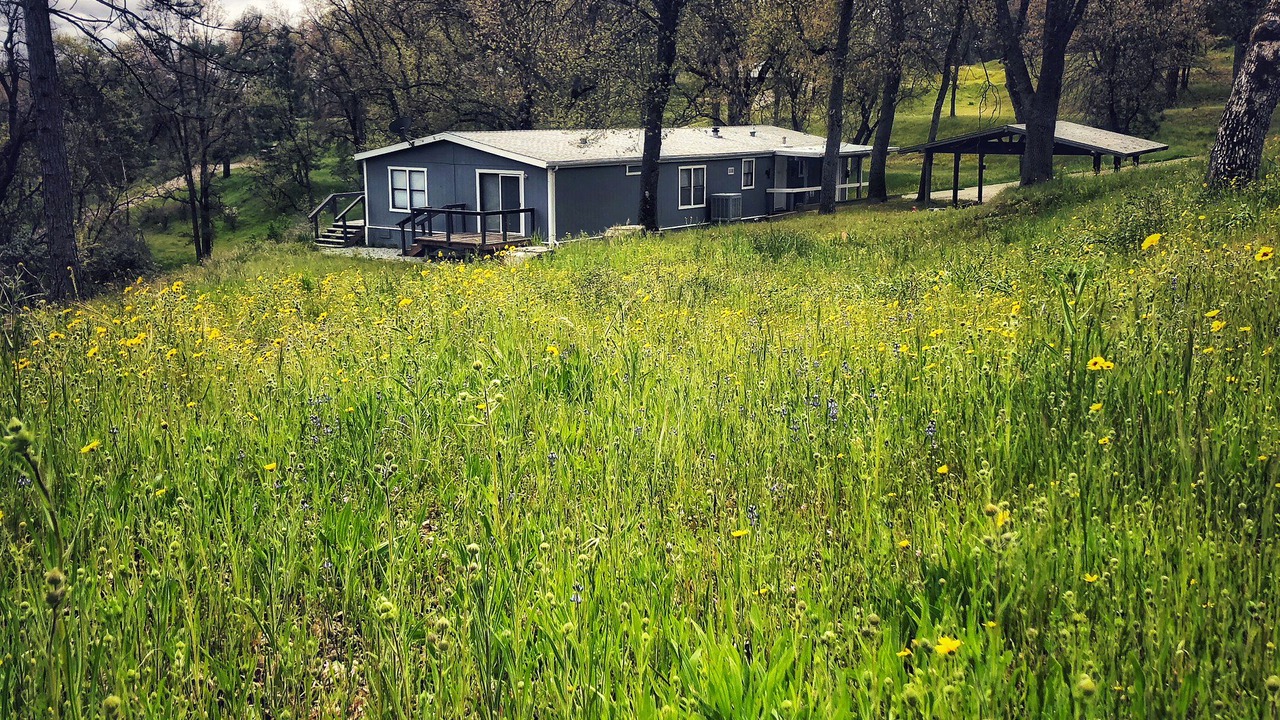 Photo of Outdoor in Badger