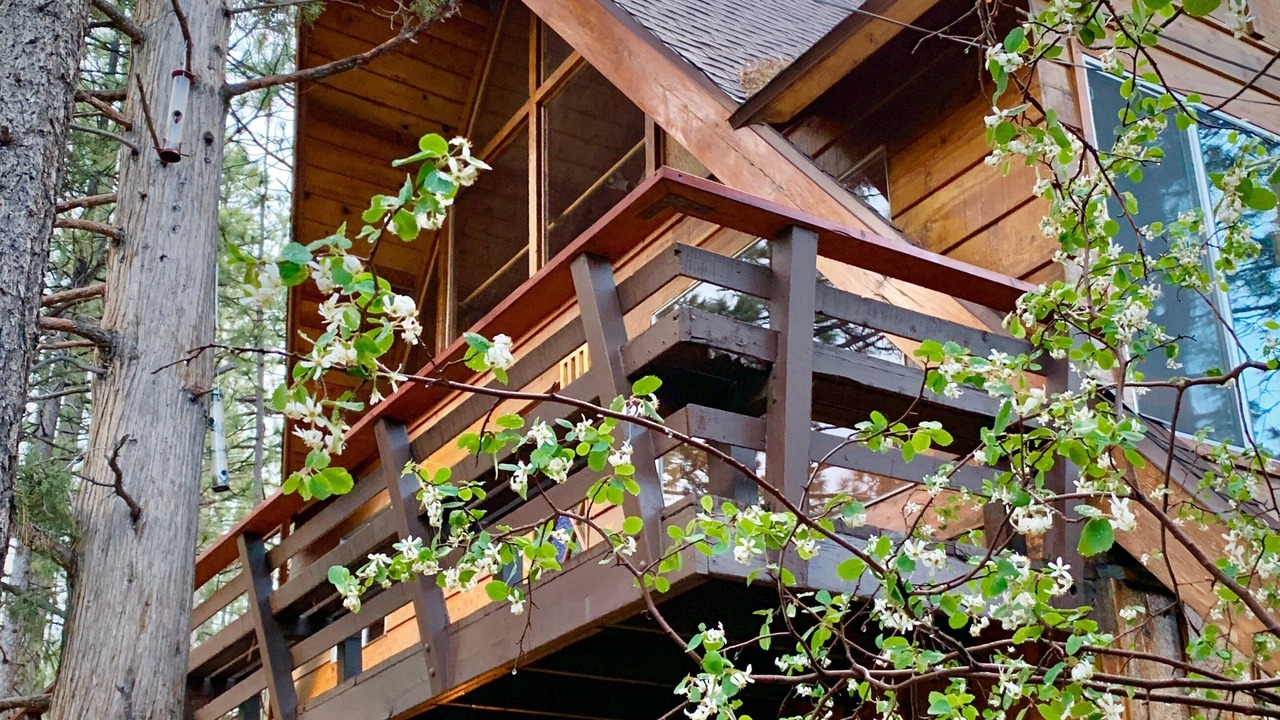Photo of Outdoor in Big Bear City