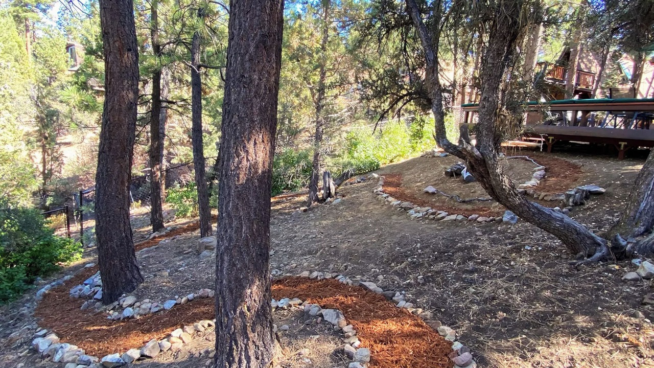 Photo of Outdoor in Big Bear City