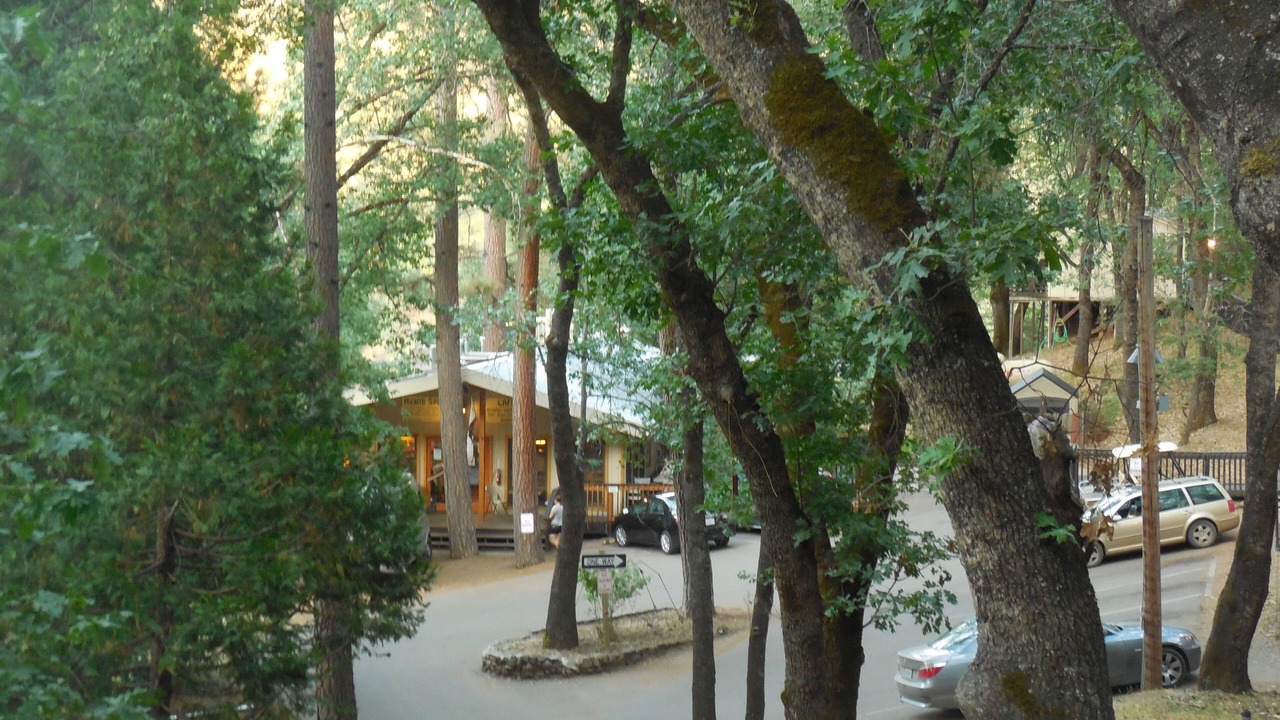 Photo of Outdoor in Midpines