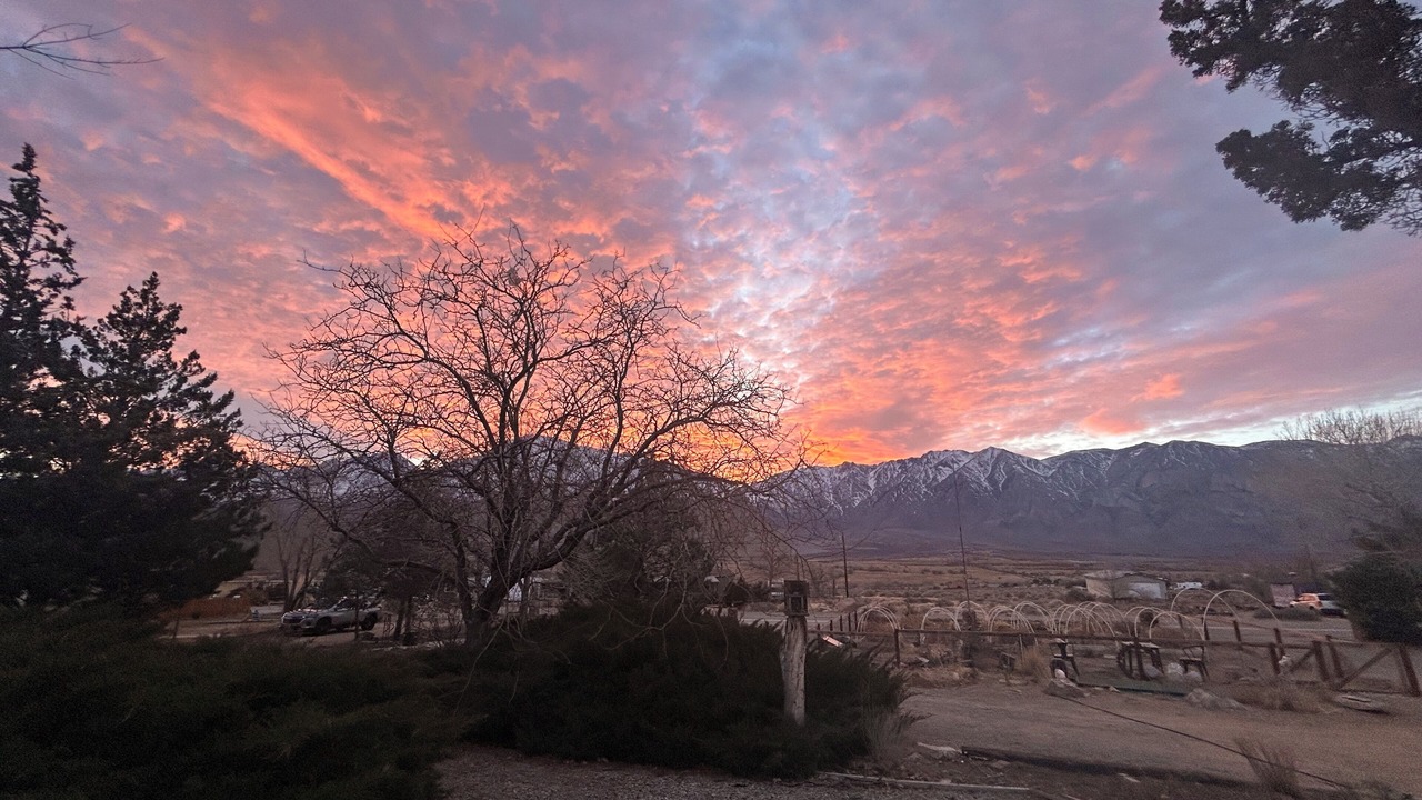 Photo of Others in Big Pine