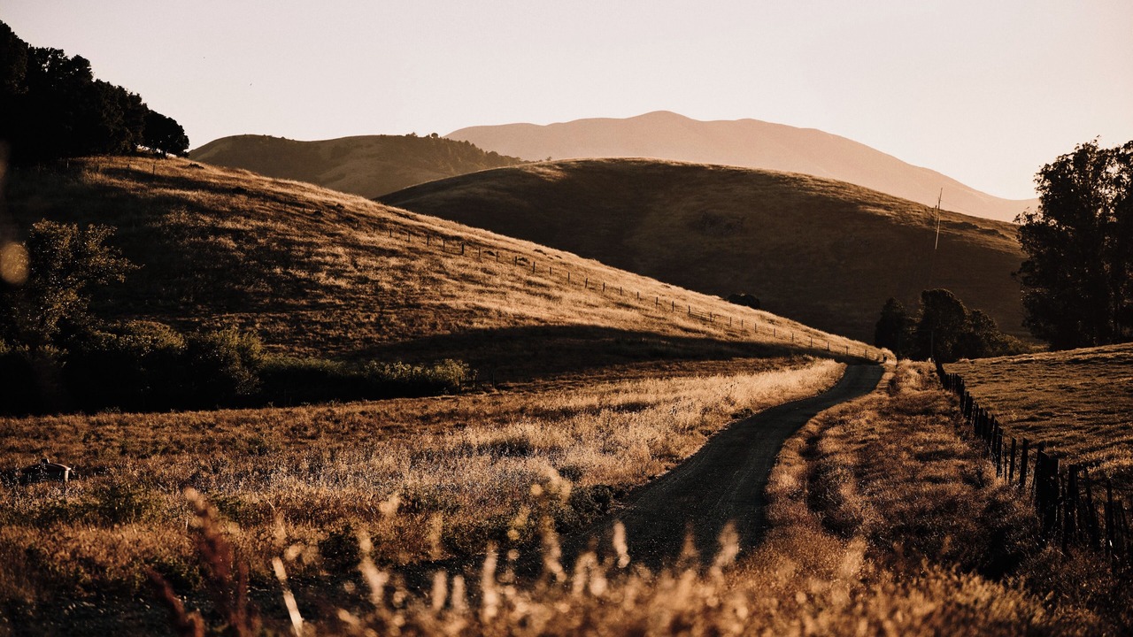 Photo of Others in Nicasio