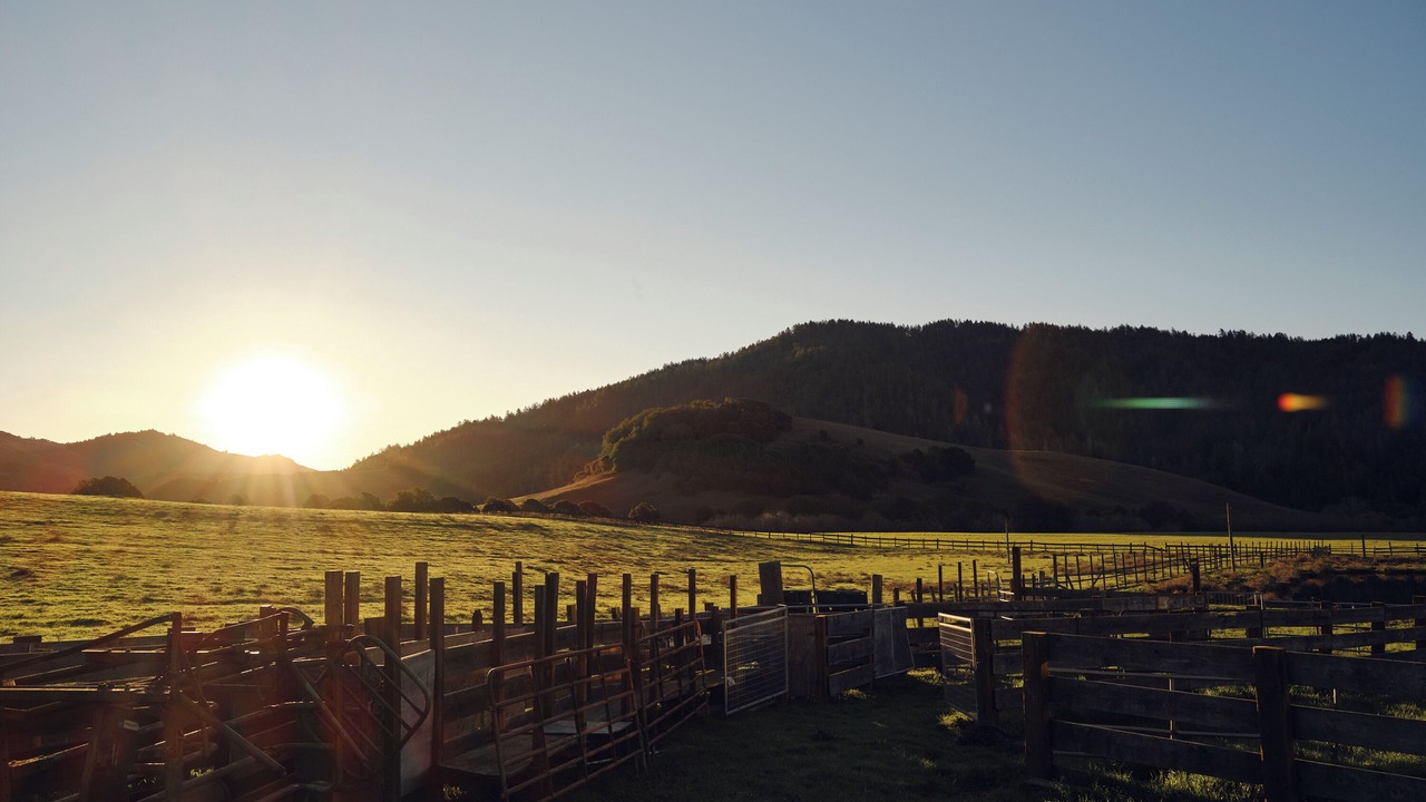Photo of Others in Nicasio