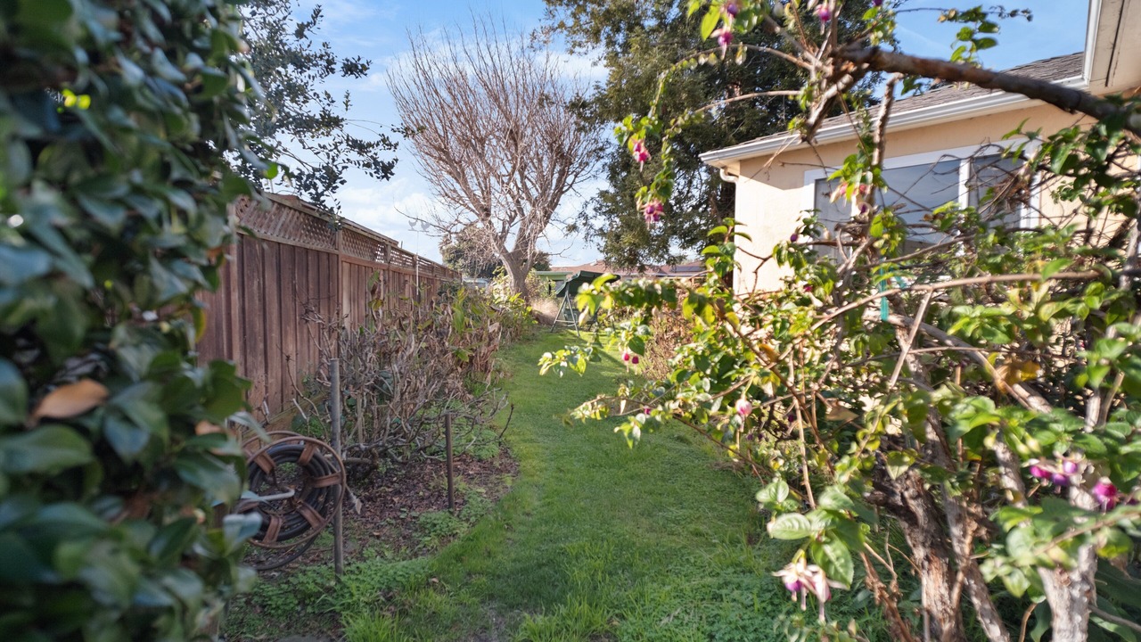 Photo of Outdoor in Lower Bal