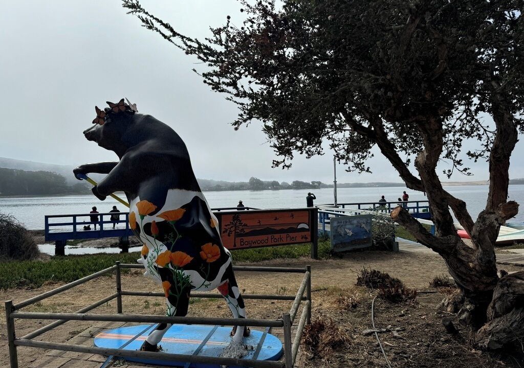 Photo of Others in Baywood Park